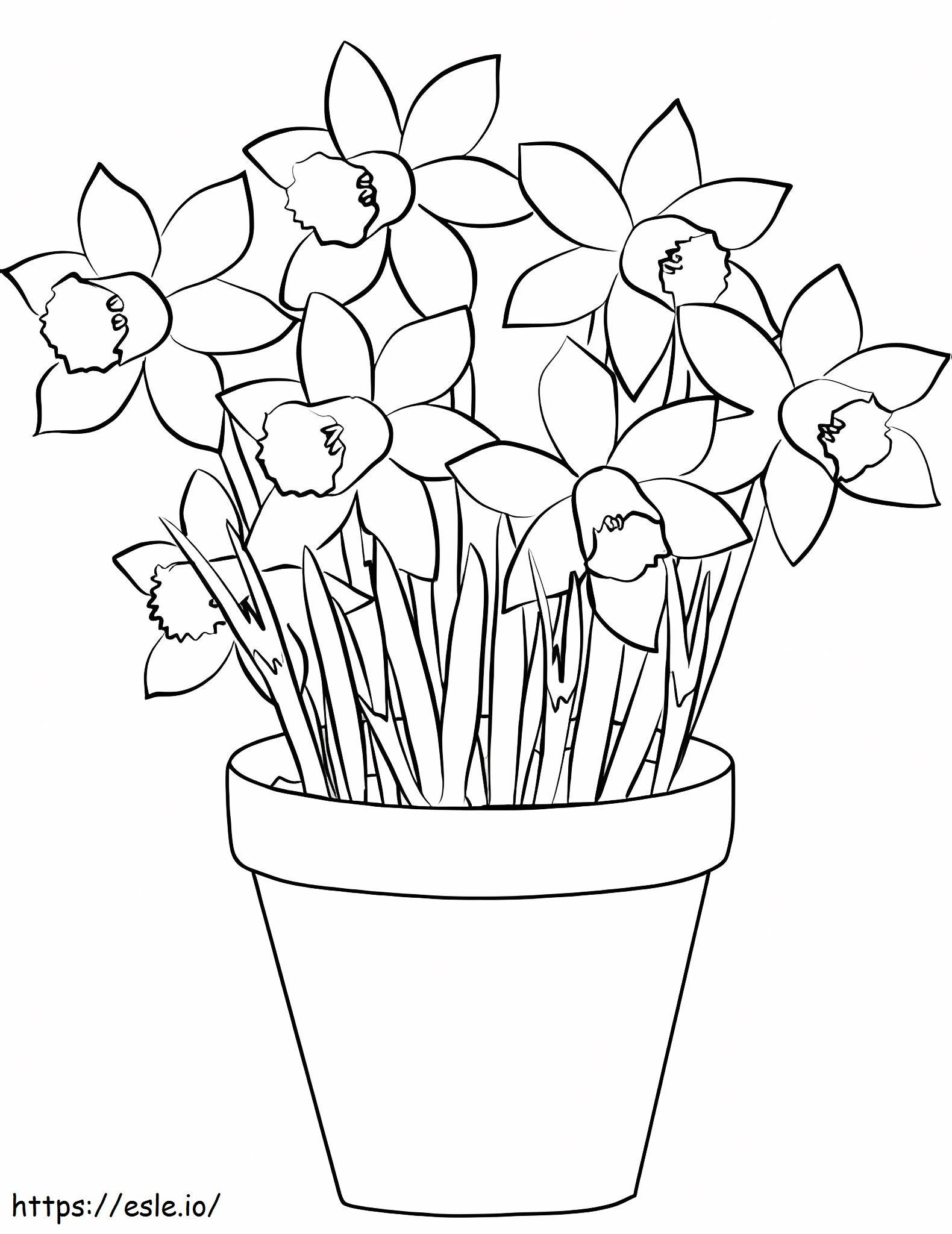 Daffodils In A Pot coloring page