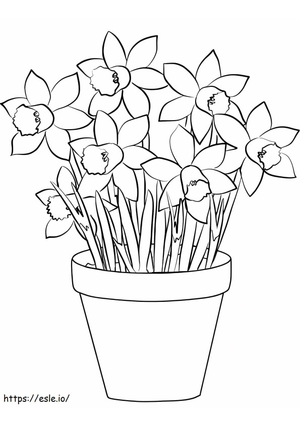 Daffodils In A Pot coloring page