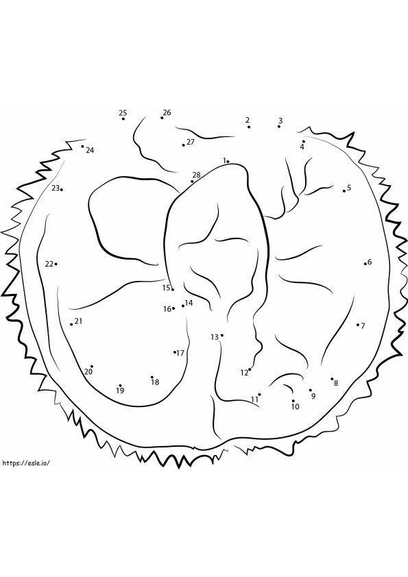 Coloriage Durian de base point à points à imprimer dessin
