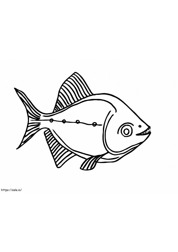 Free Piranha coloring page