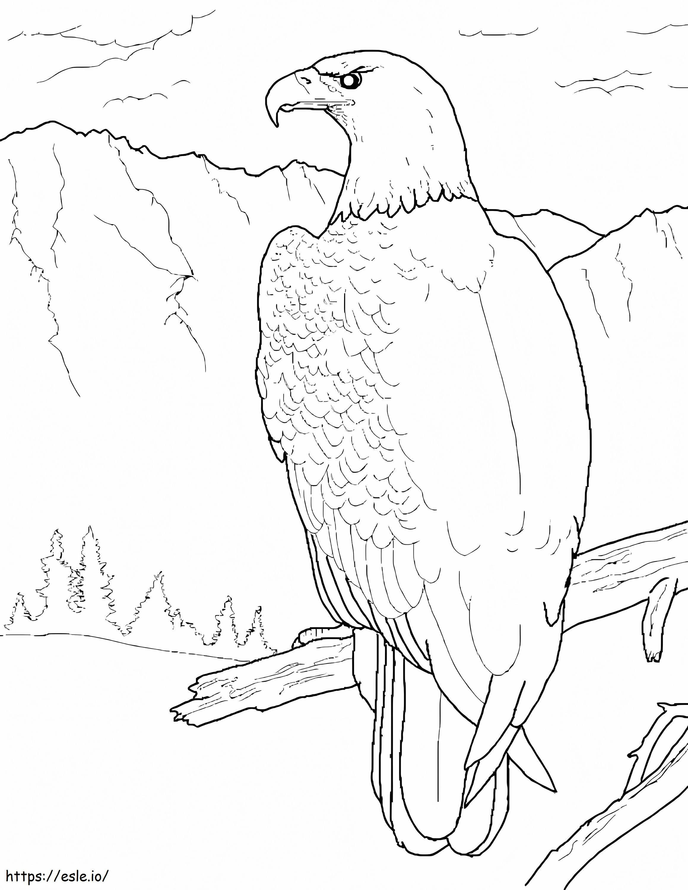 Águila 5 Página Para Colorear para colorear