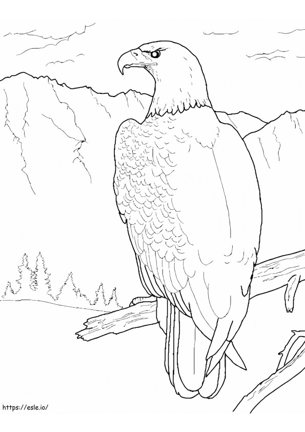 Vultur 5 Pagina de colorat de colorat