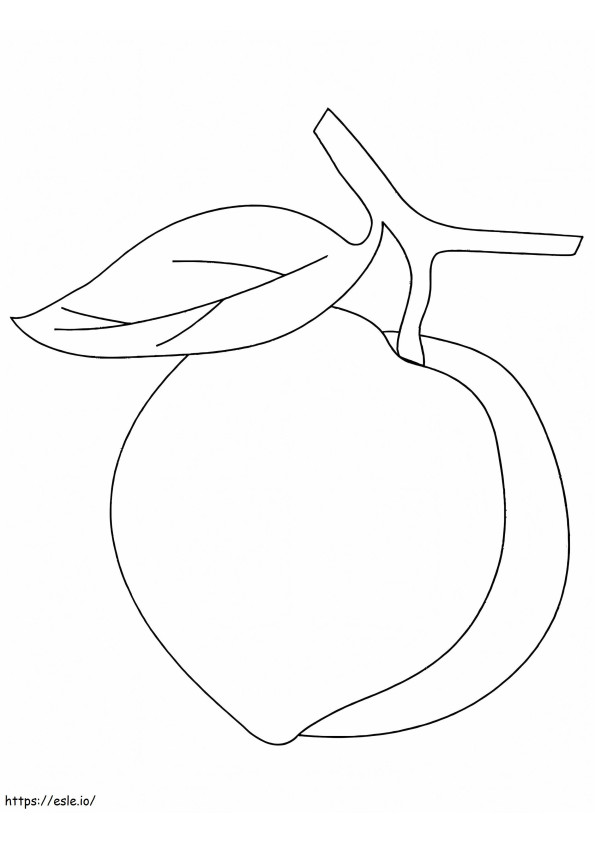 Tavallinen persikka värityskuva