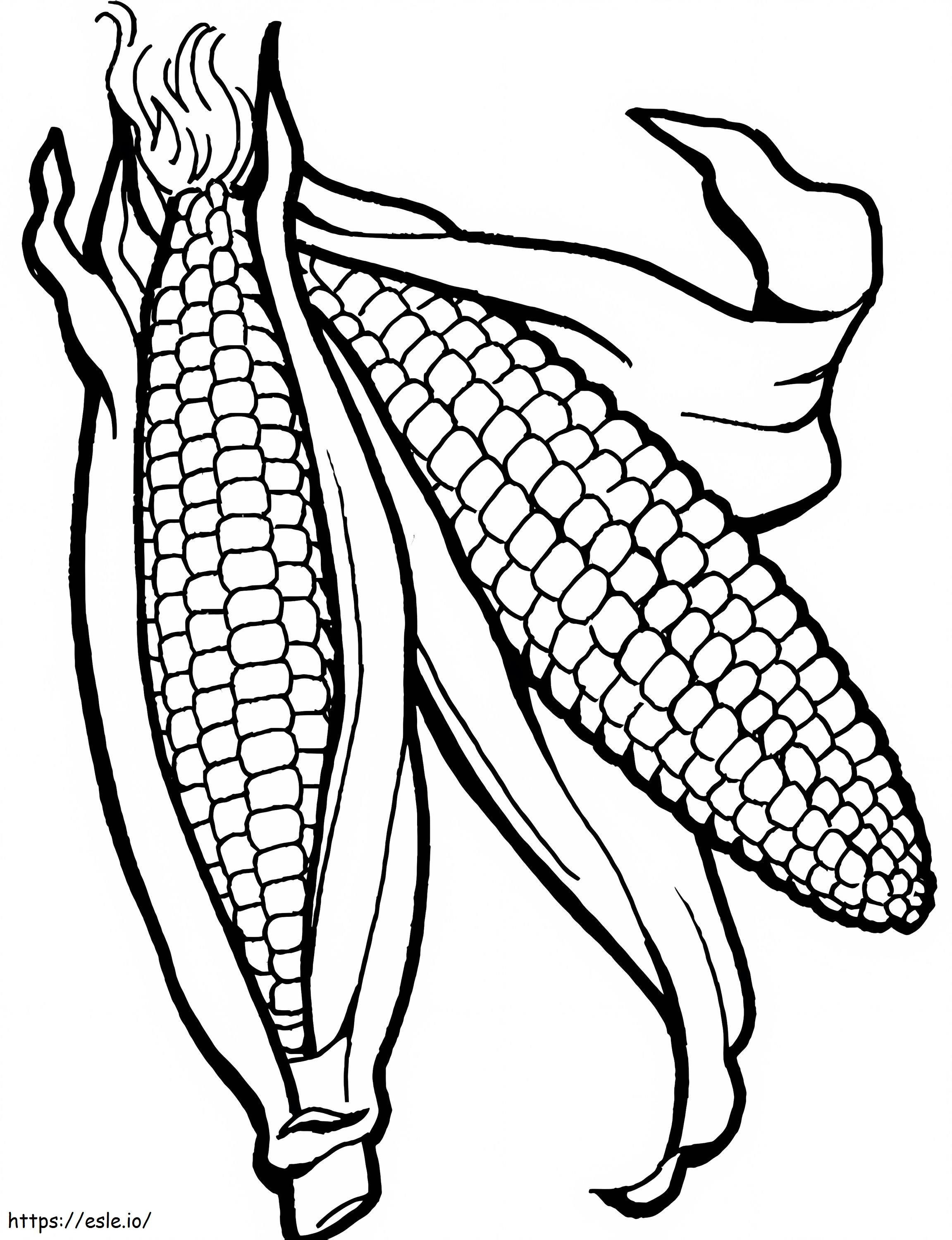 Two Corn coloring page