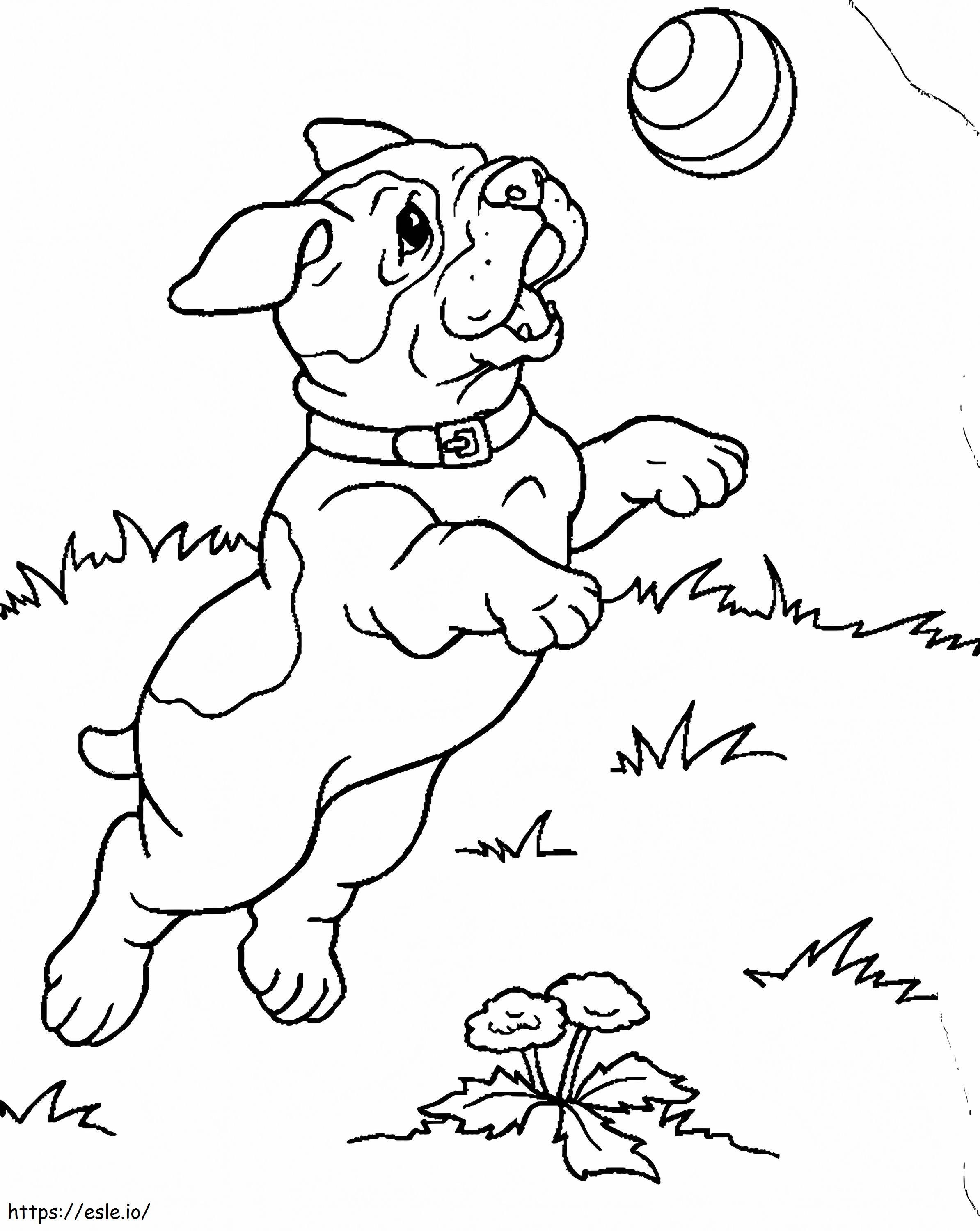 Chiot insecte coloriage à imprimer gratuit