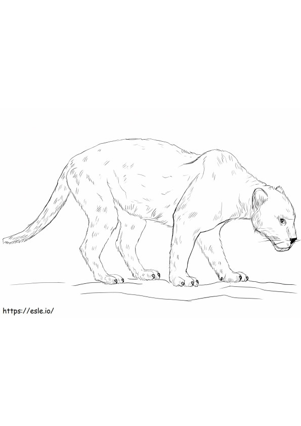 Basic Panther coloring page
