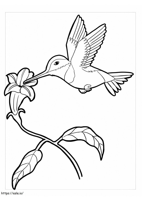 Coloriage Colibri de base avec fleur à imprimer dessin