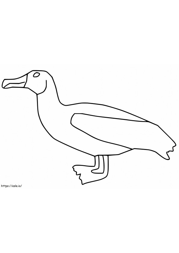 albatroz simples para colorir