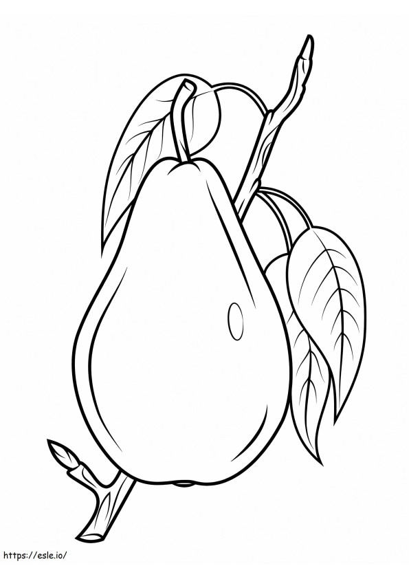 Päärynä oksalla värityskuva