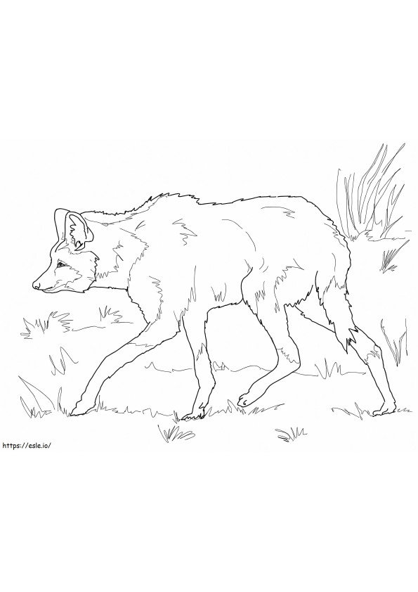 Southern Dameric Maned Wolf coloring page