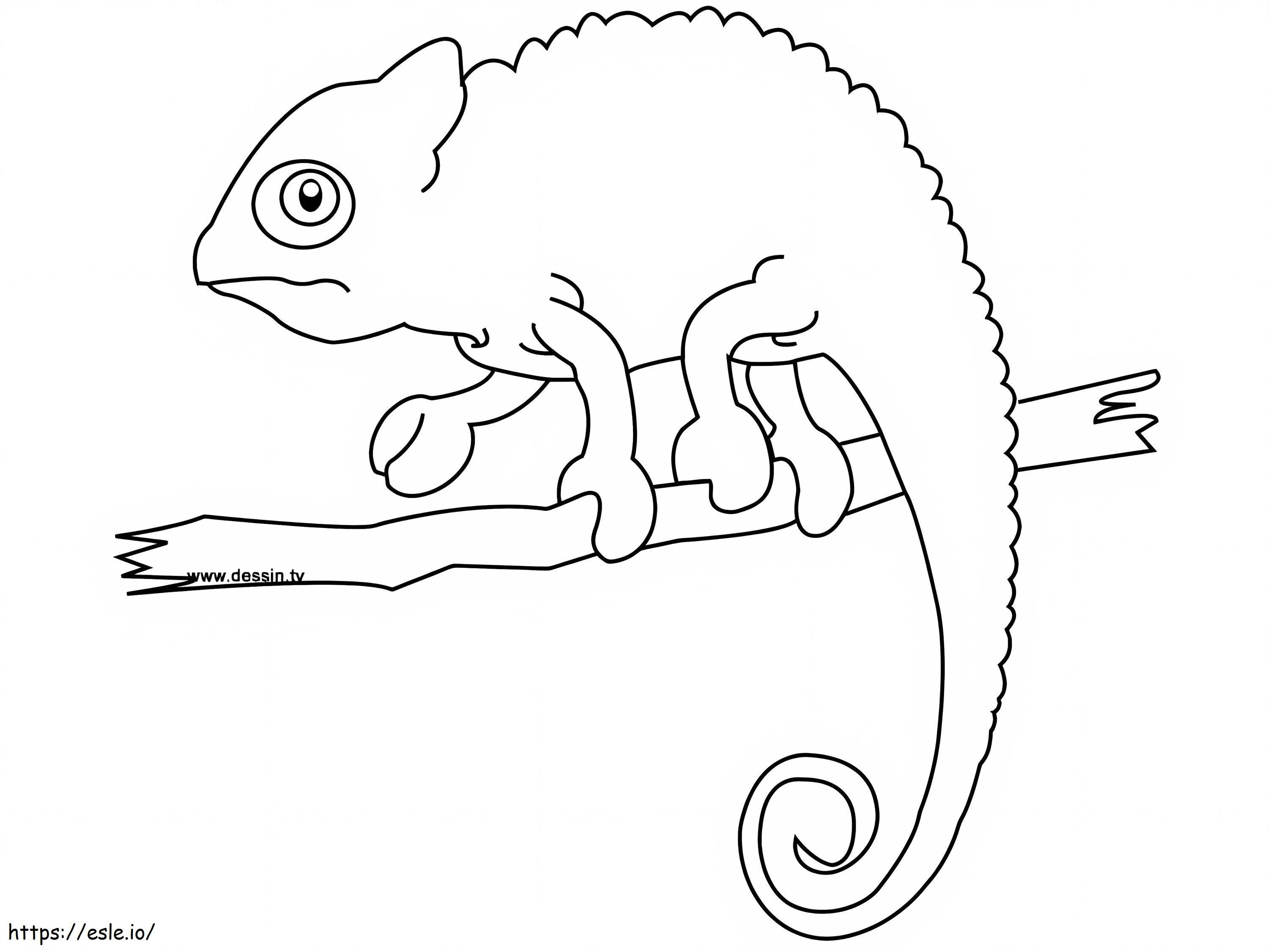 Chameleon Position On Tree Branch coloring page