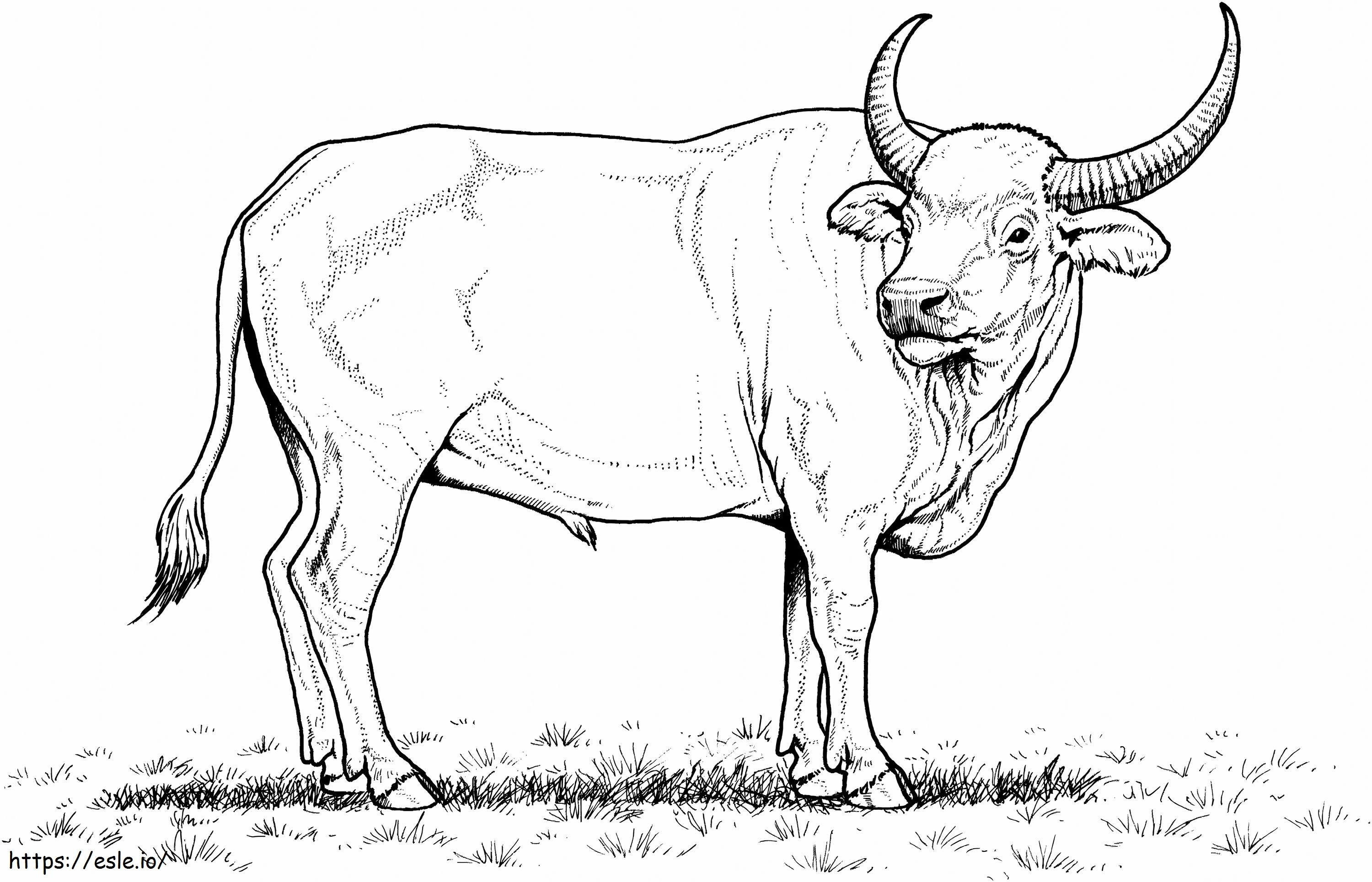 Impressionante bufalo in scala da colorare