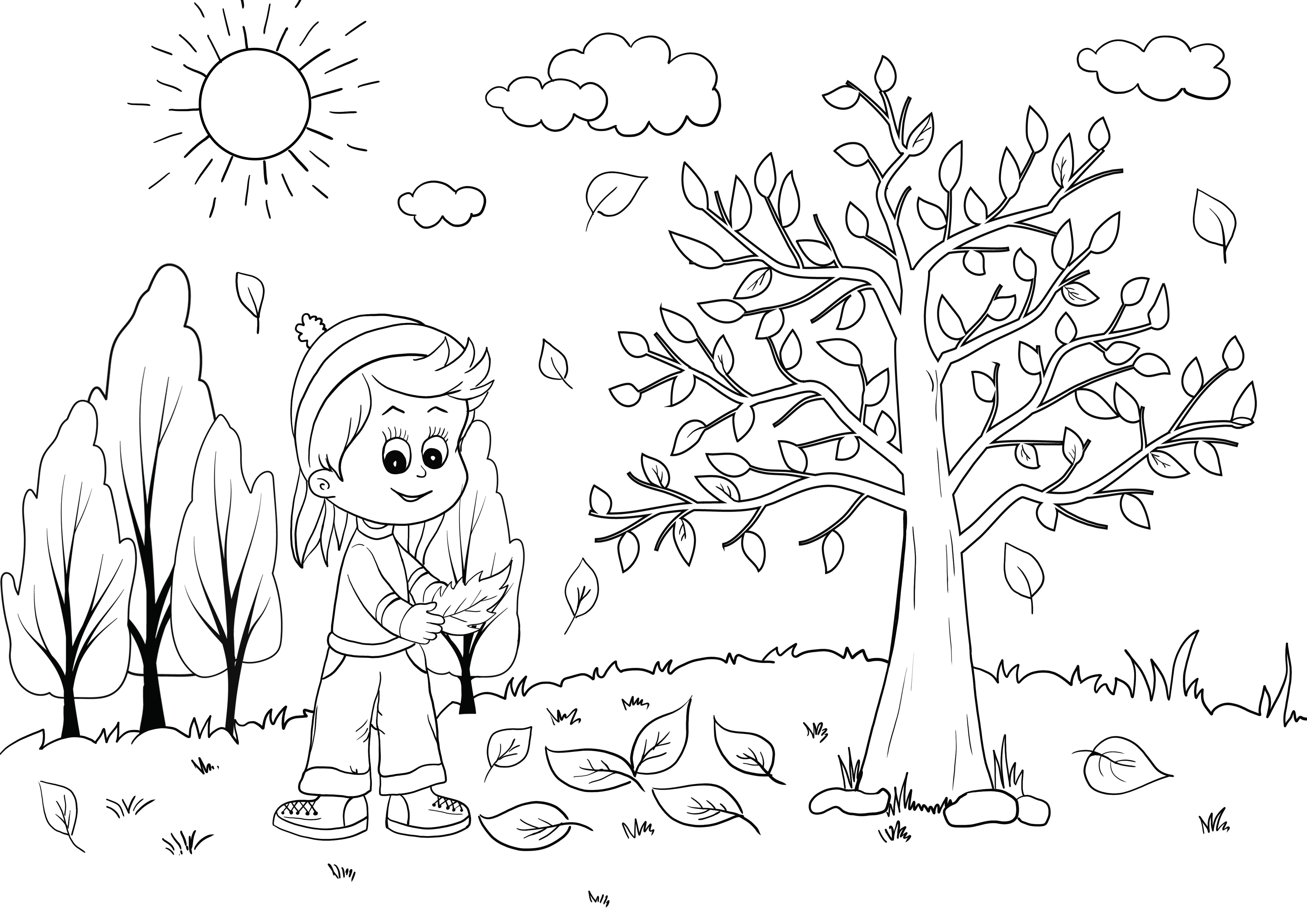 fiú az erdőben ősszel színezés nélküli nyomtatás
