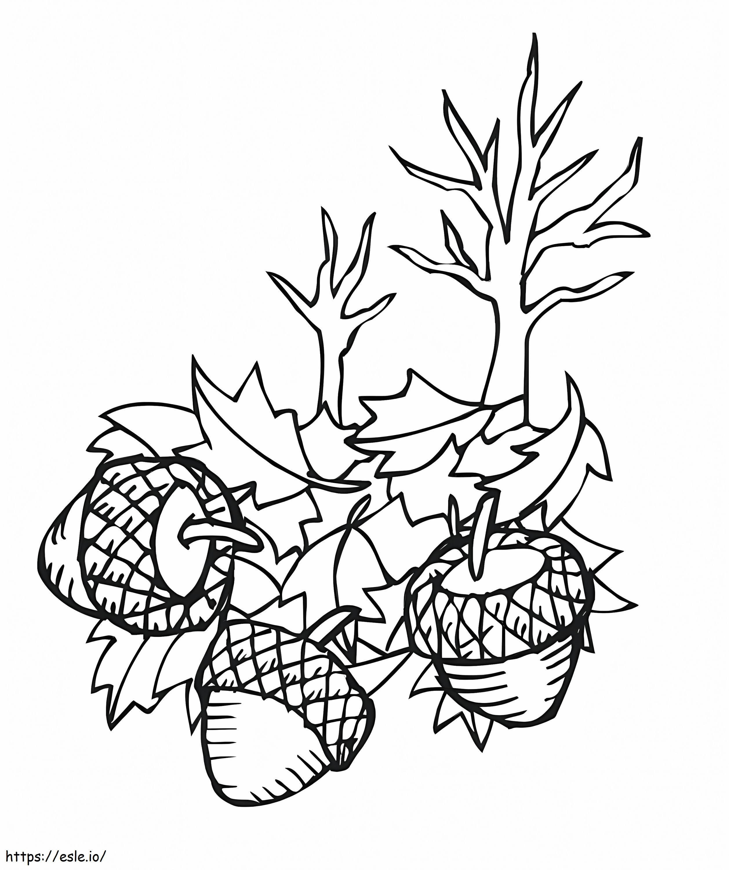 Leaves And Acorns coloring page