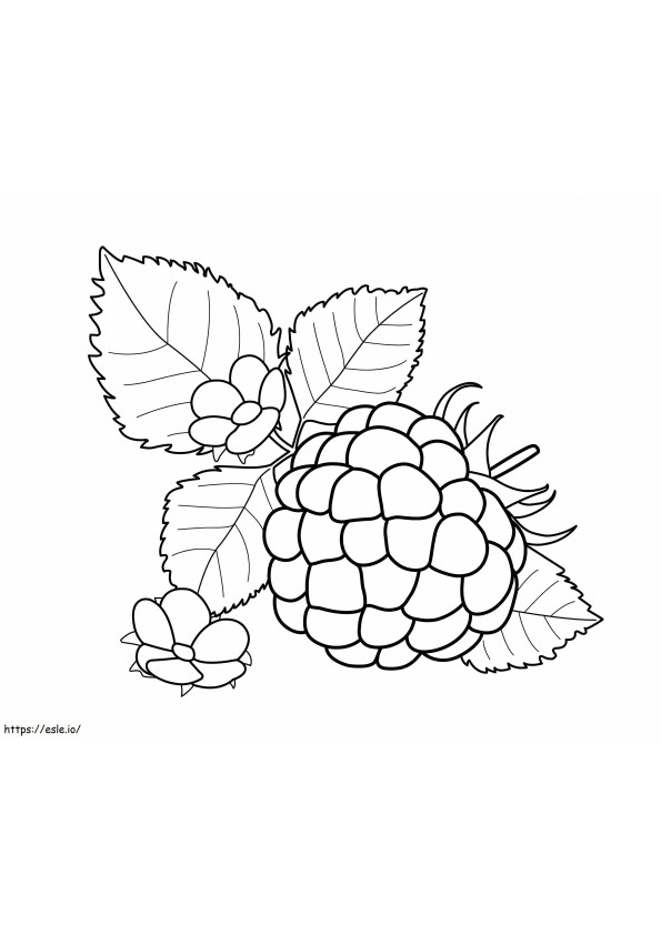 Blackberry With Leaf And Flower coloring page