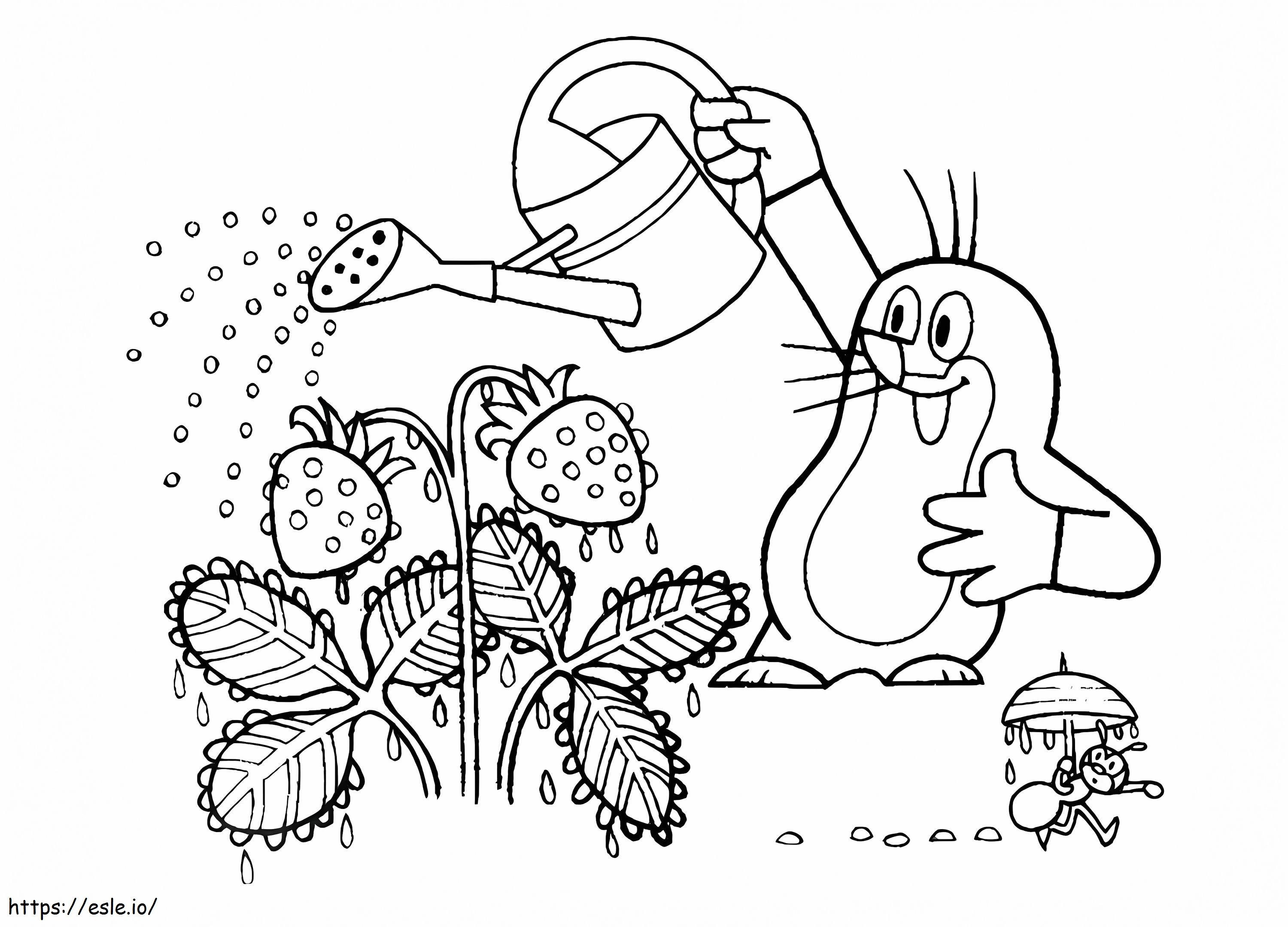 Kretek Watering Plant coloring page
