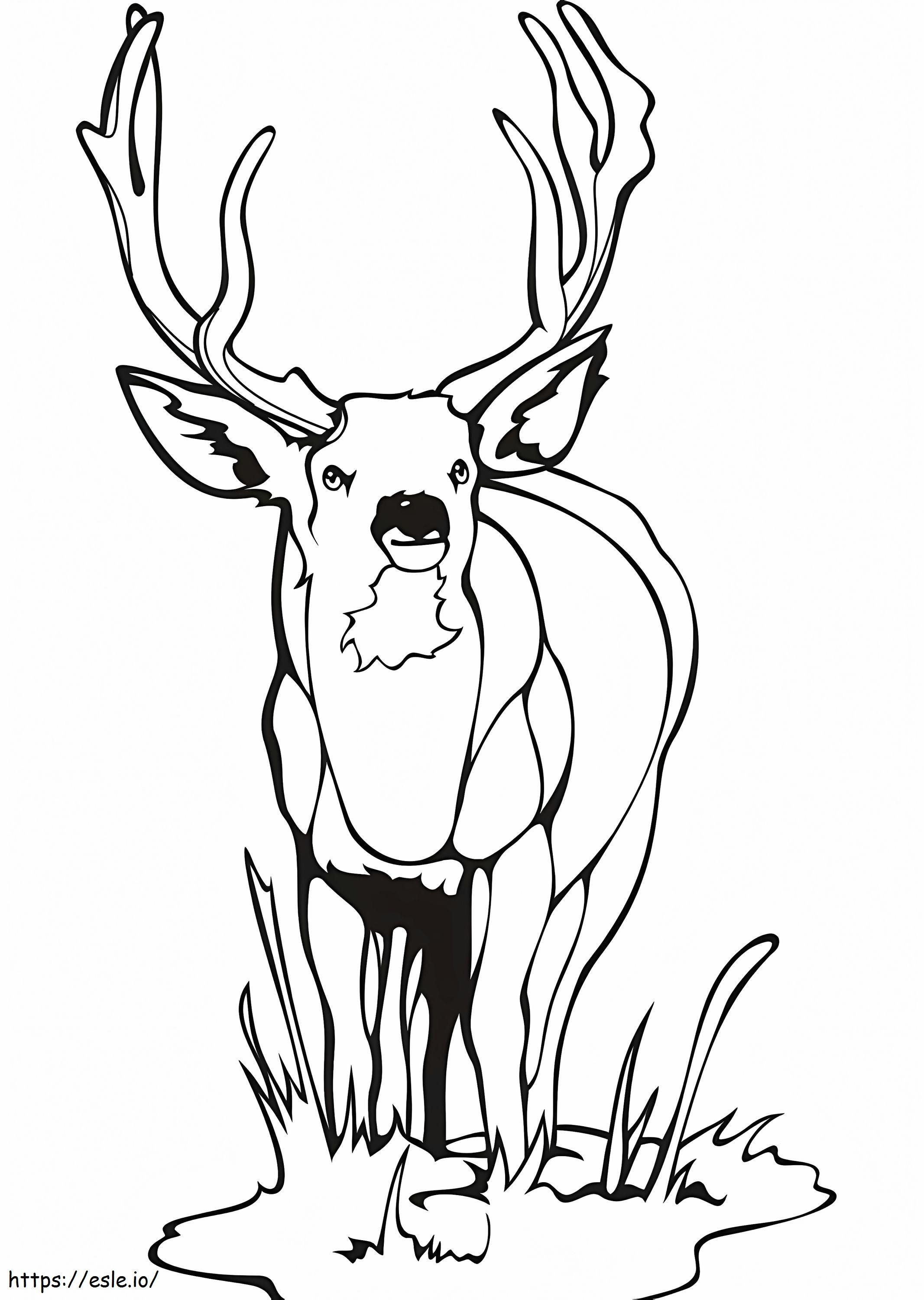 野生の鹿 1 ぬりえ - 塗り絵