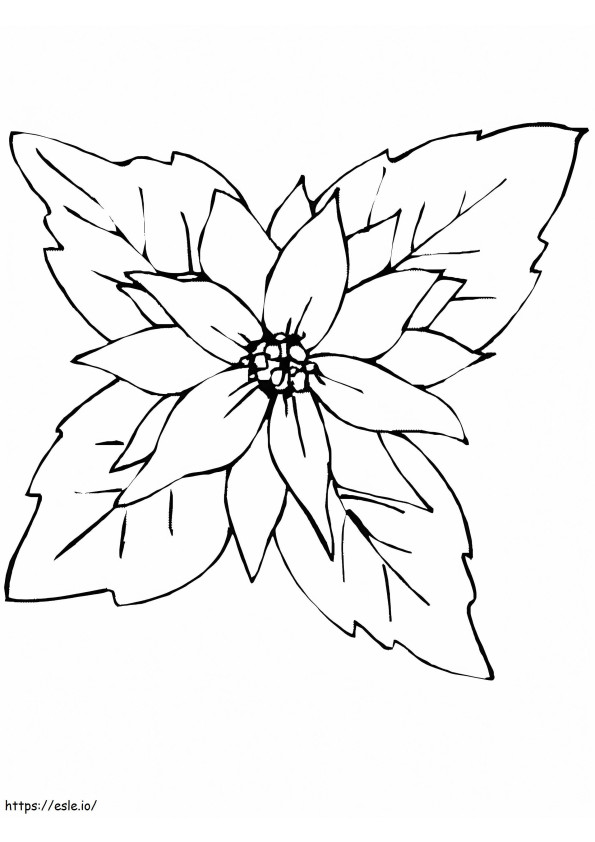 Coloriage  Poinsettia1A4 à imprimer dessin