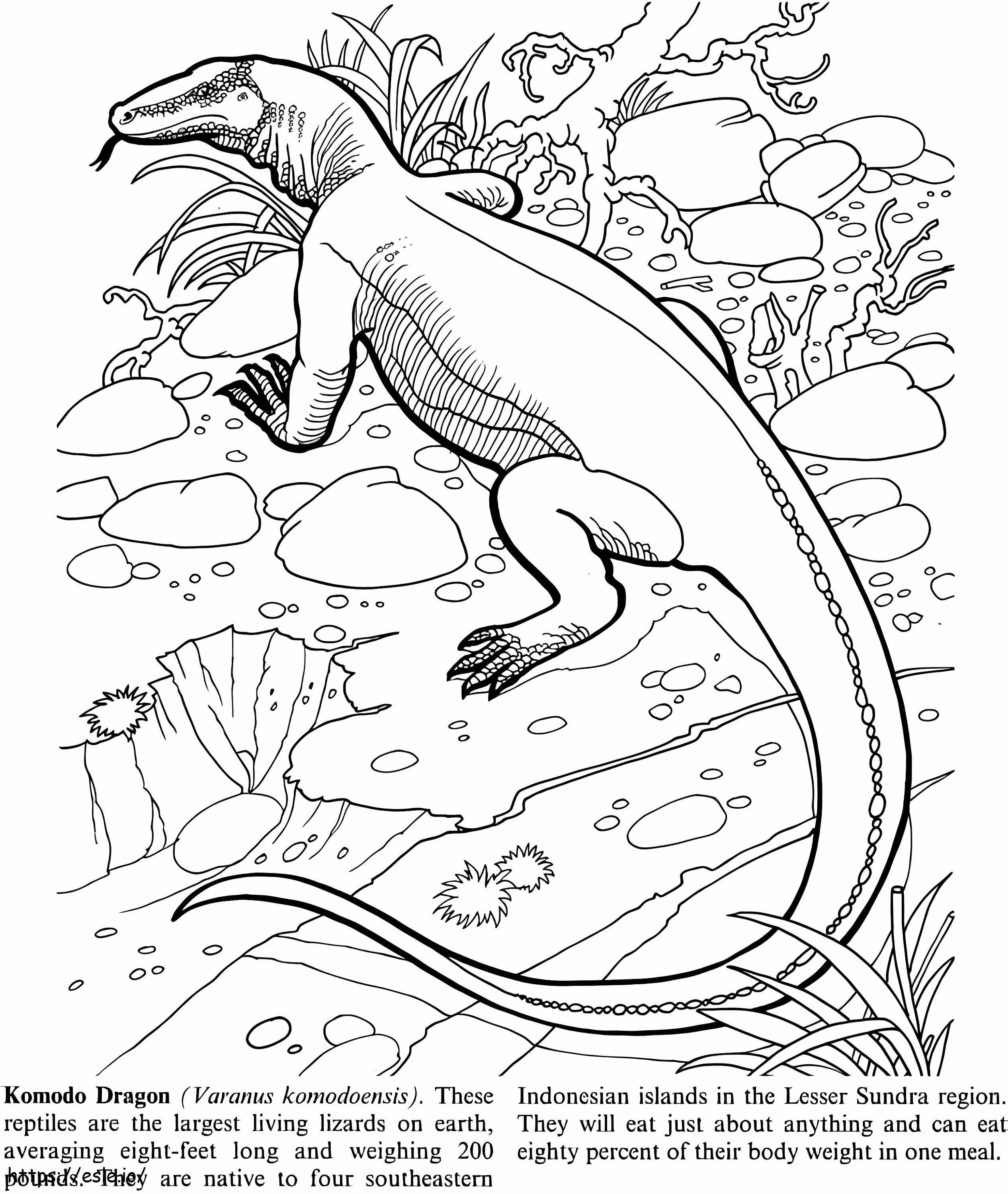Coloriage Dragon de Komodo 1 à imprimer dessin