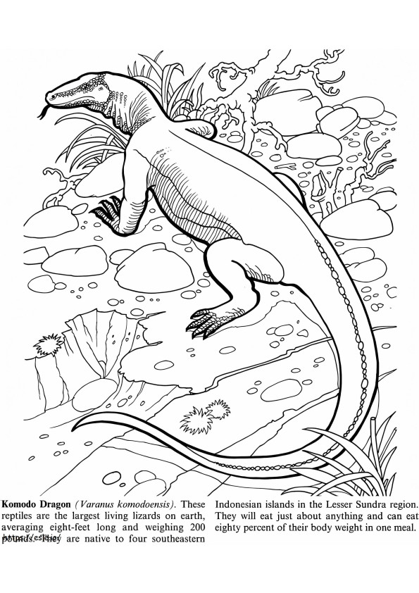 Dragão de Komodo 1 para colorir