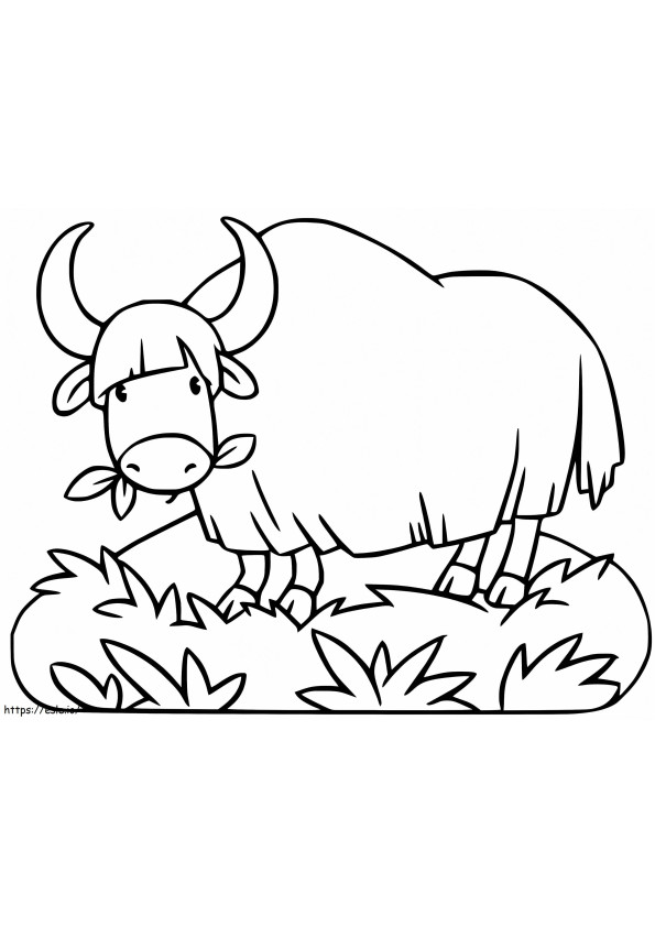 Yak auf Gras