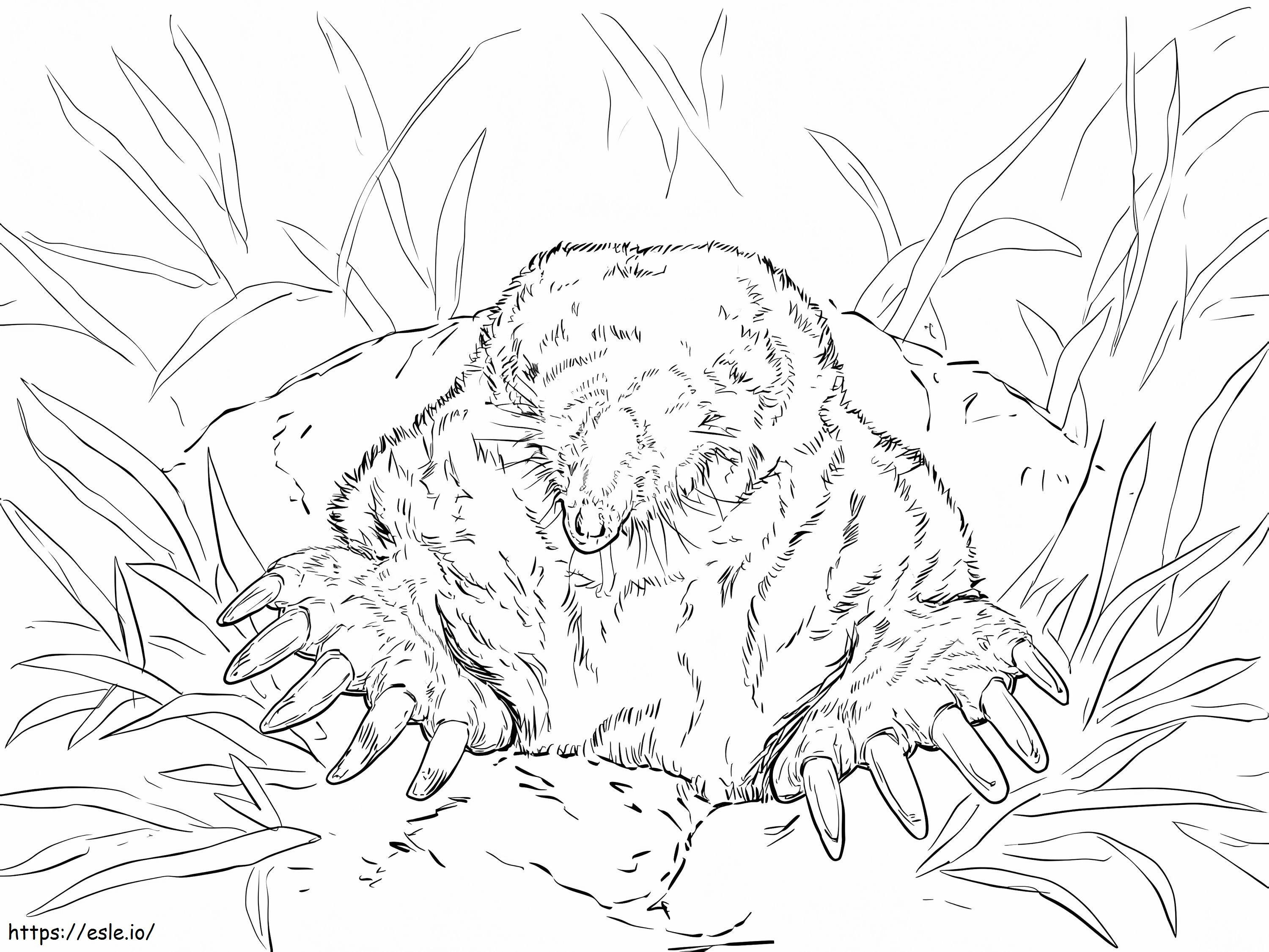 Realistic Eastern Mole coloring page