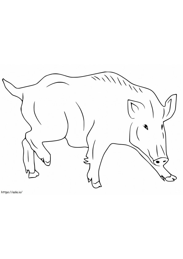 Printable Wild Boar coloring page