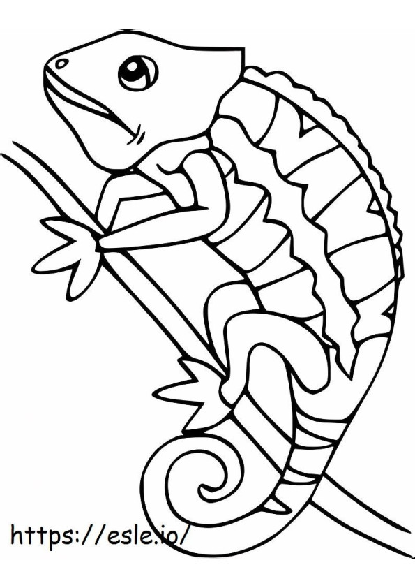 Panther Chameleon coloring page
