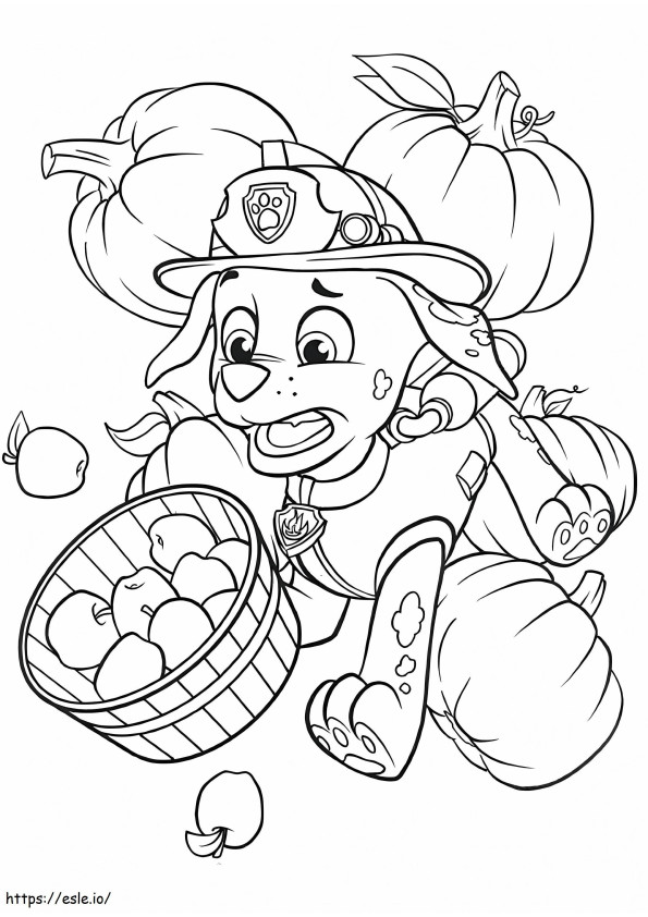 Coloriage  Rocky avec citrouilles et pommes A4 à imprimer dessin