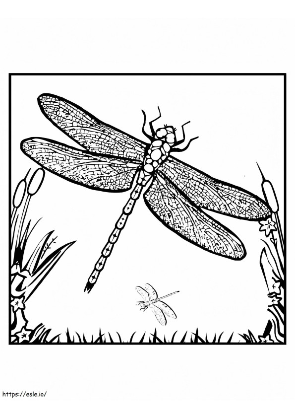 The Dragonfly coloring page