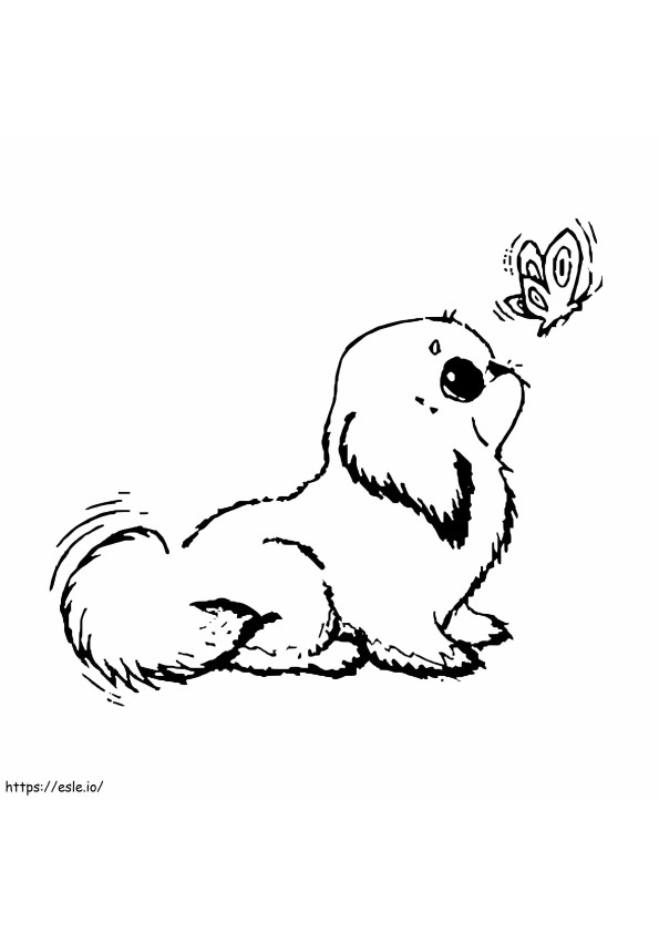 Puppy And Butterfly