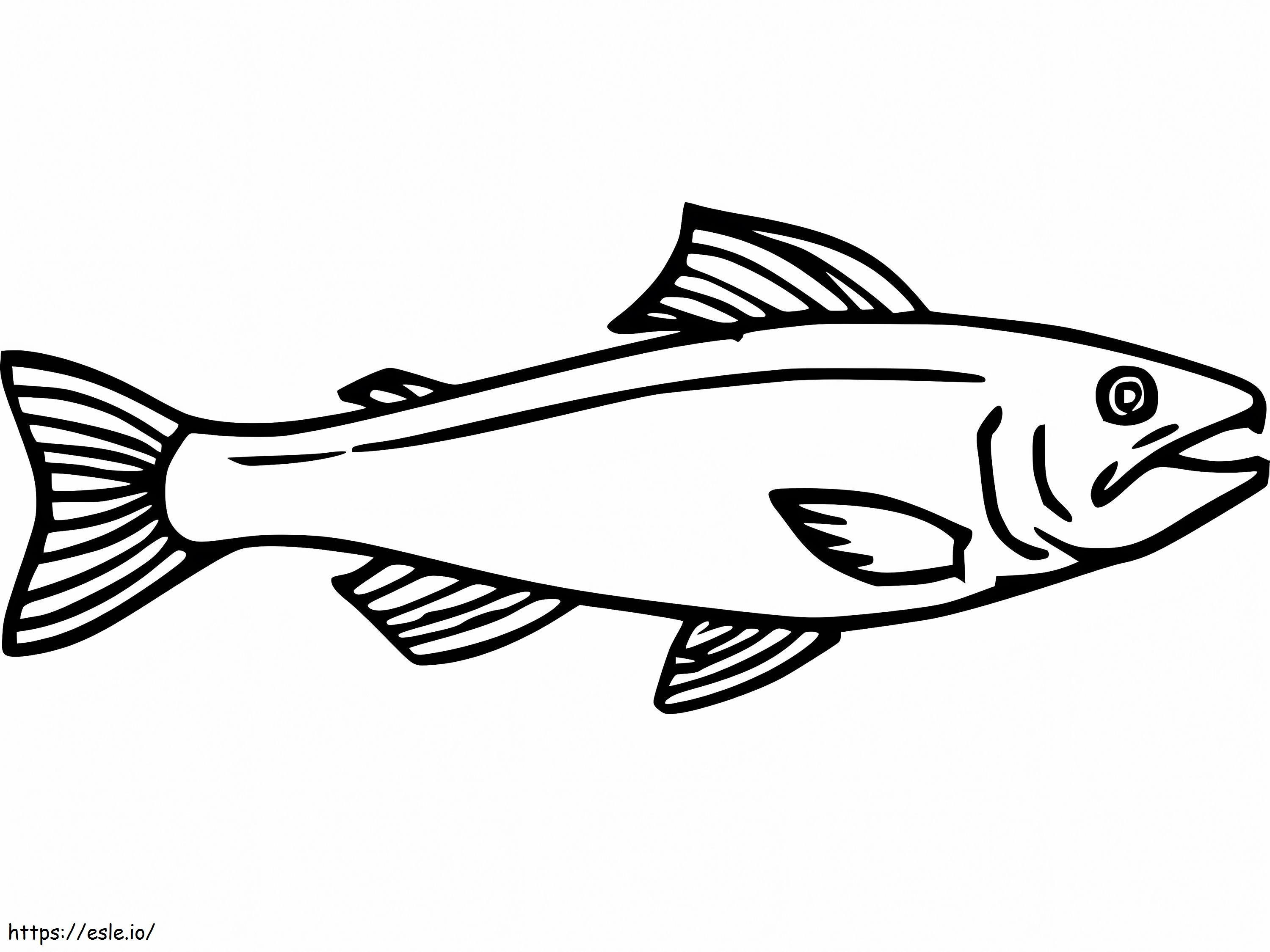 Salmon 1 coloring page
