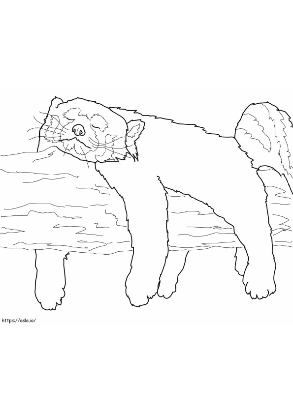 Red Panda Sleeping coloring page