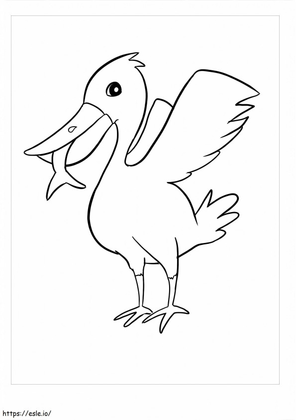 Amazing Pelican coloring page