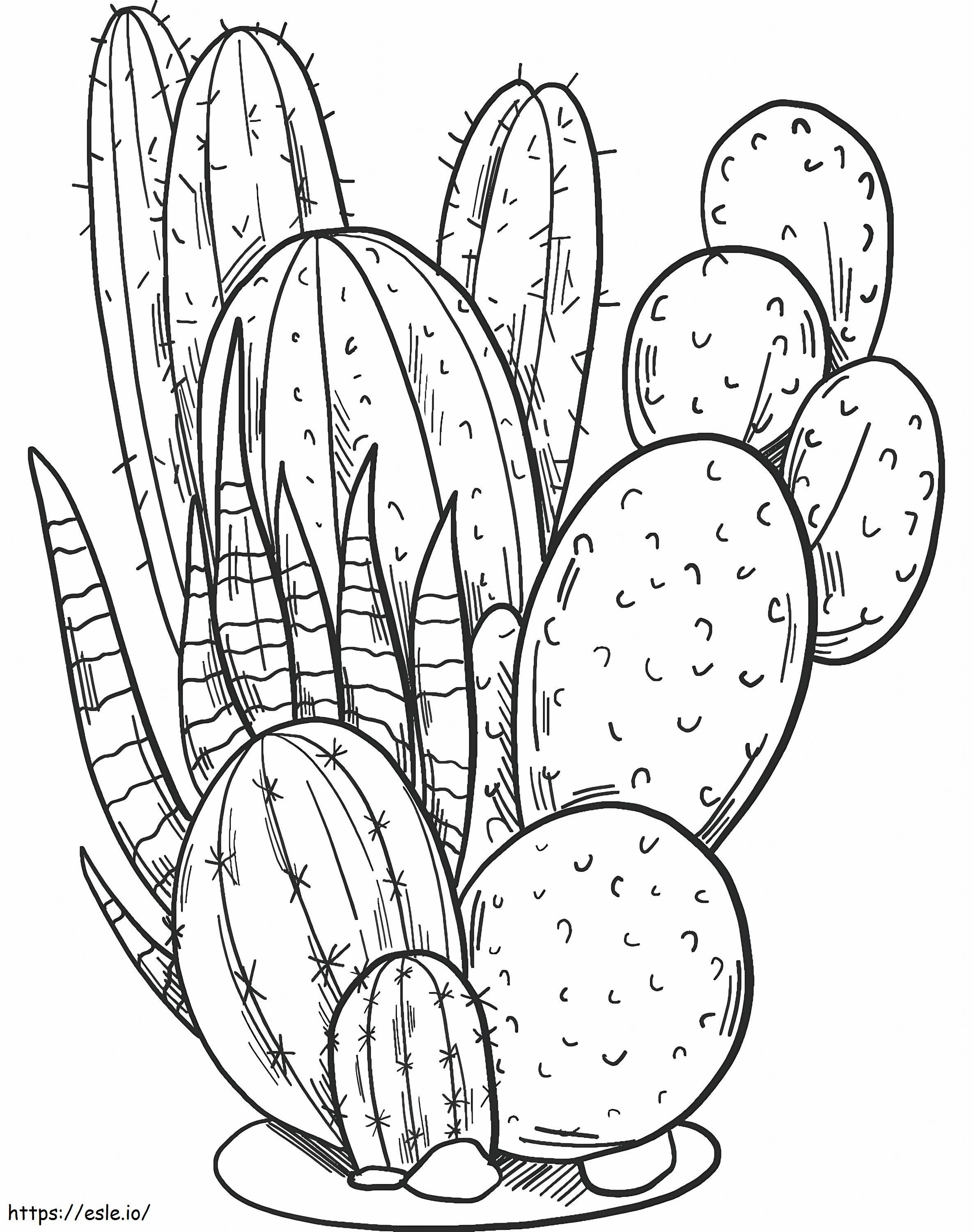 Grote Cactussen kleurplaat kleurplaat