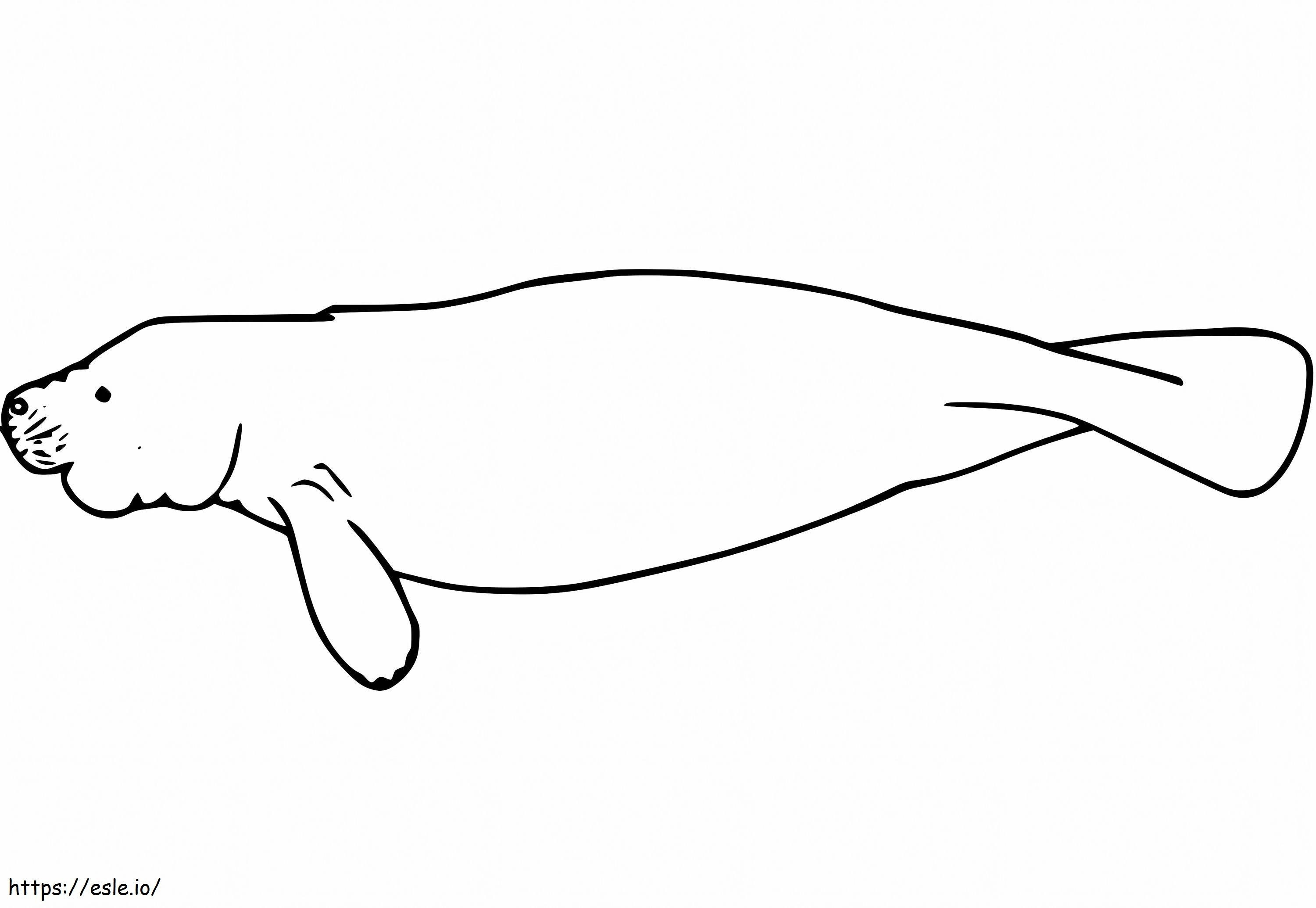 Manatee Swims coloring page