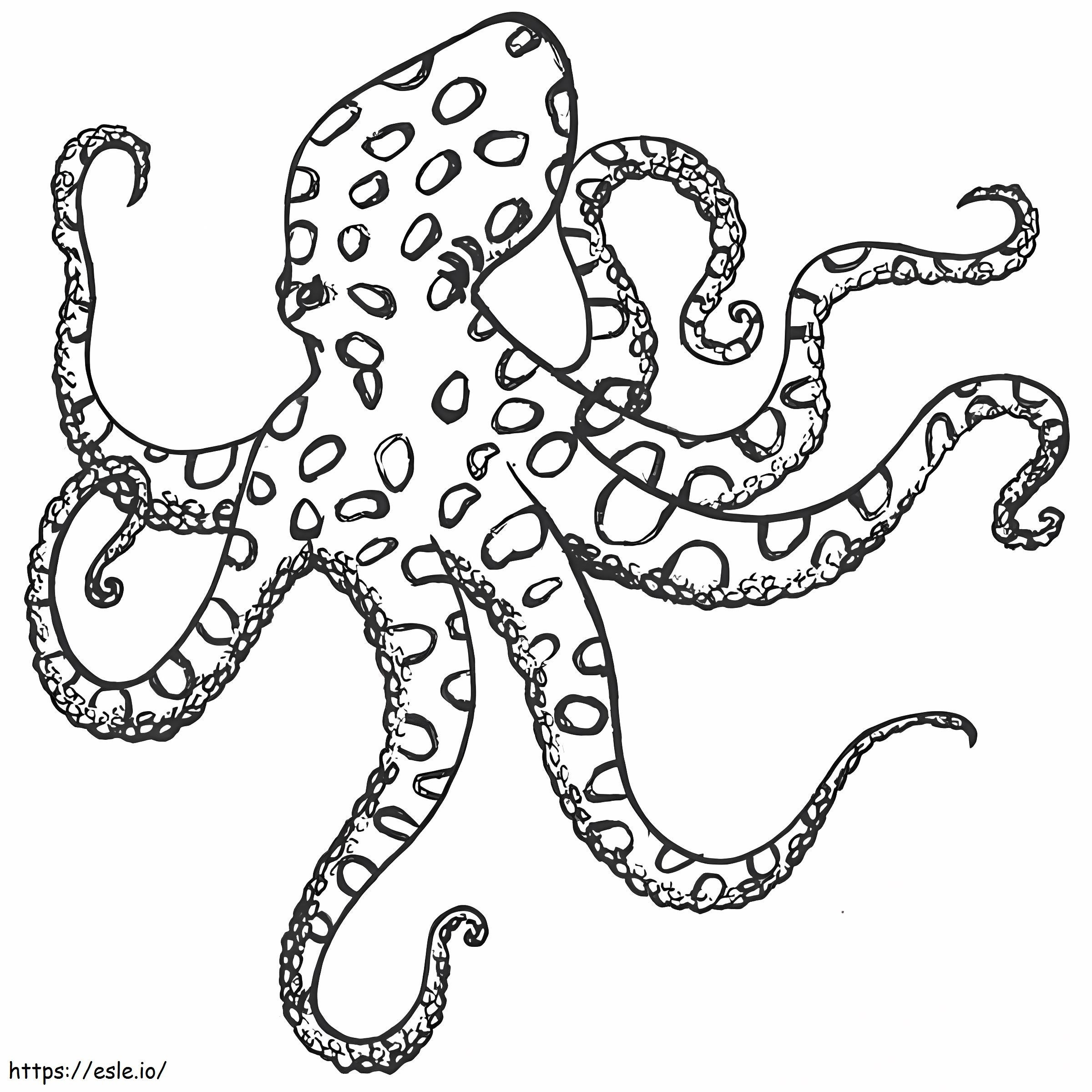Regular Octopus coloring page