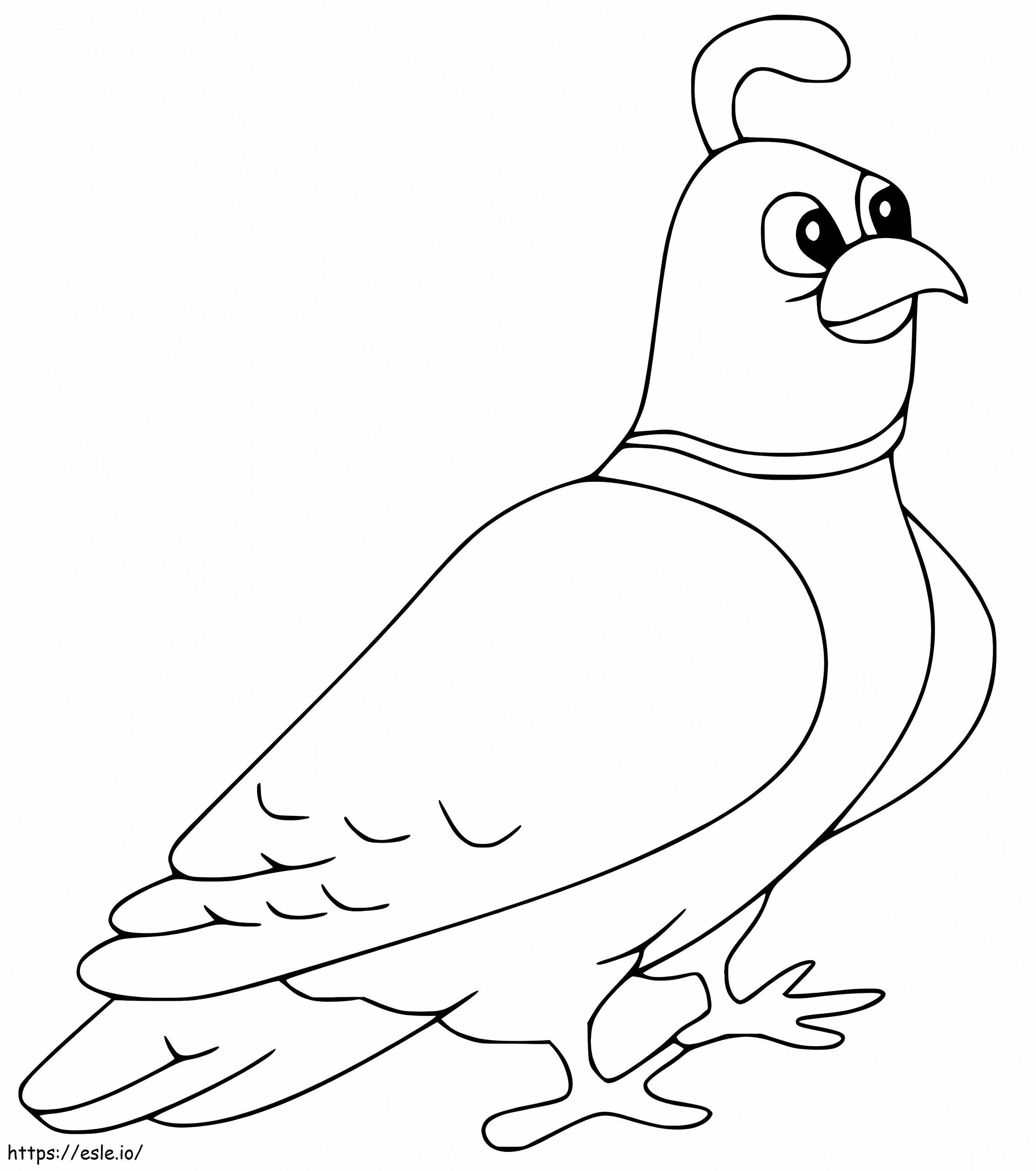 Happy Quail coloring page