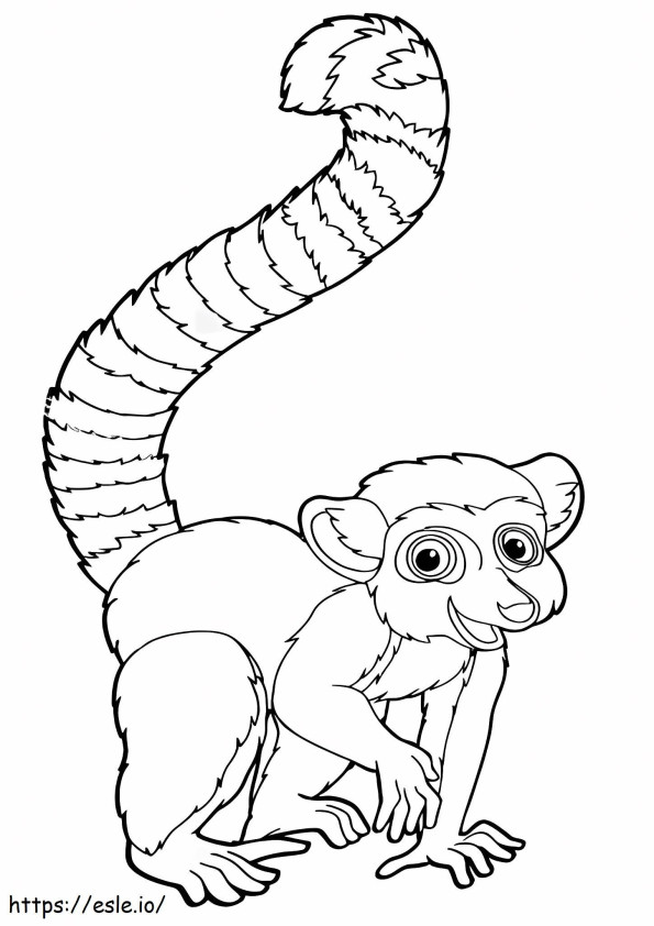 Impressive Lemur coloring page