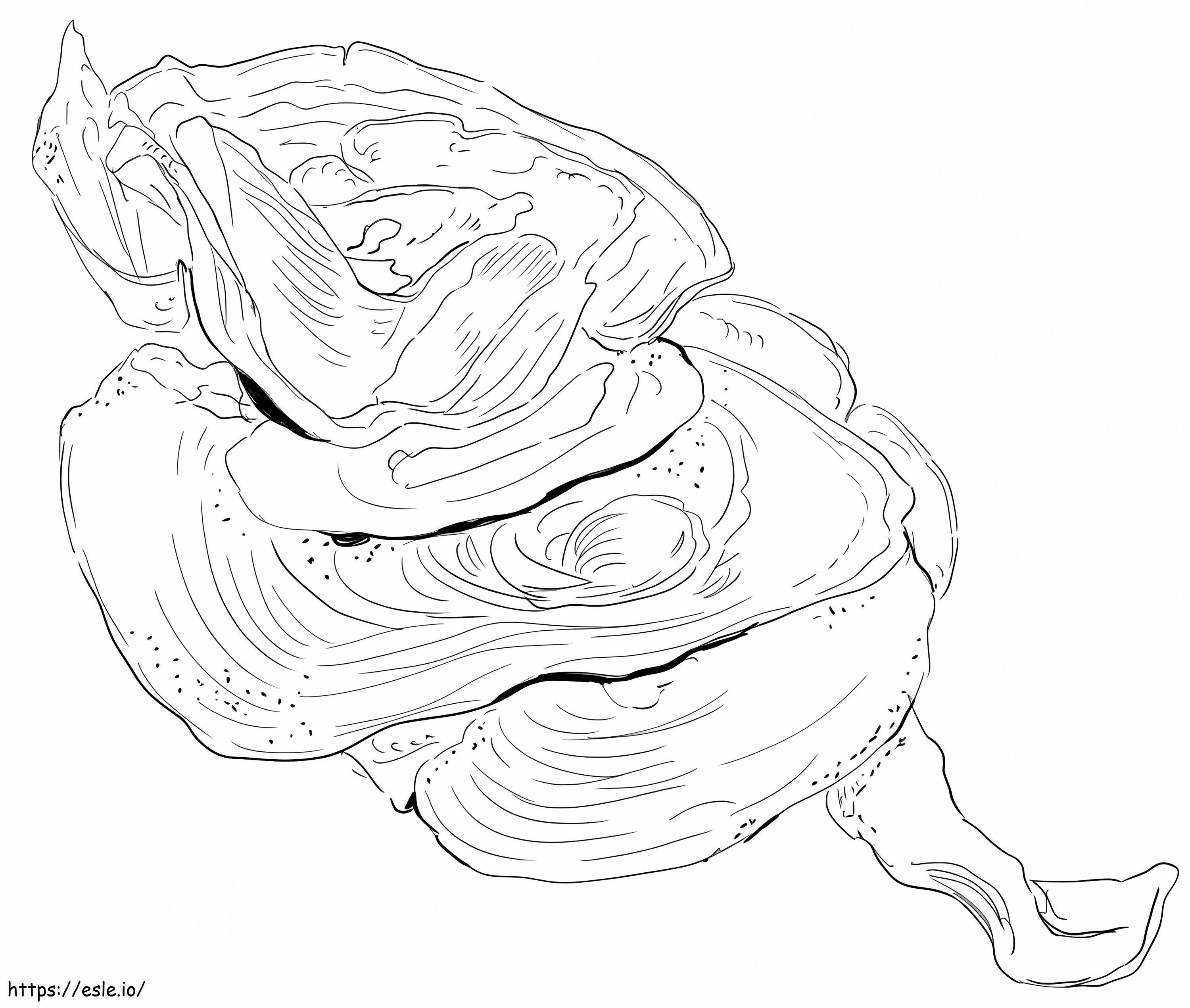 Lettuce Coral coloring page