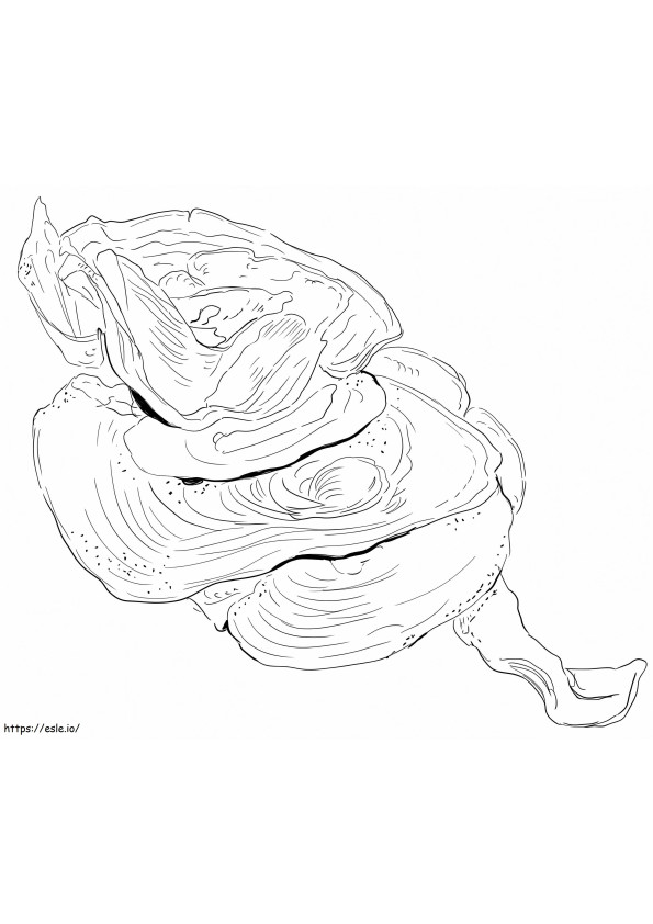 Lettuce Coral coloring page