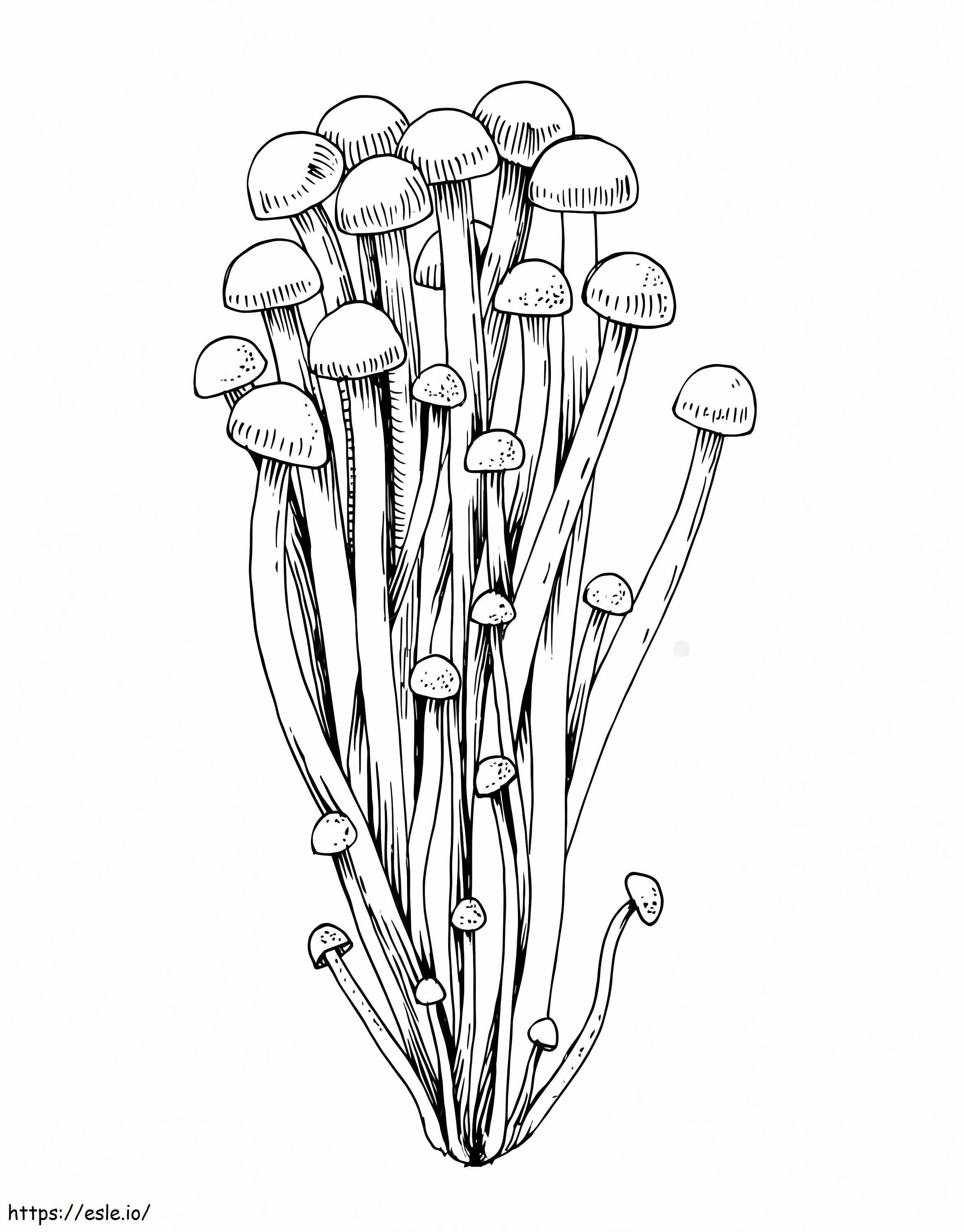 cogumelos 8 para colorir
