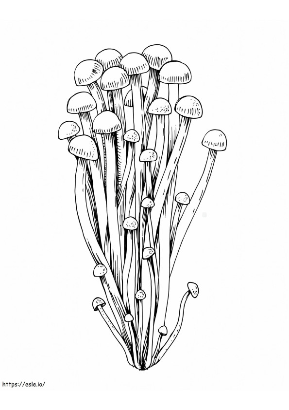 cogumelos 8 para colorir