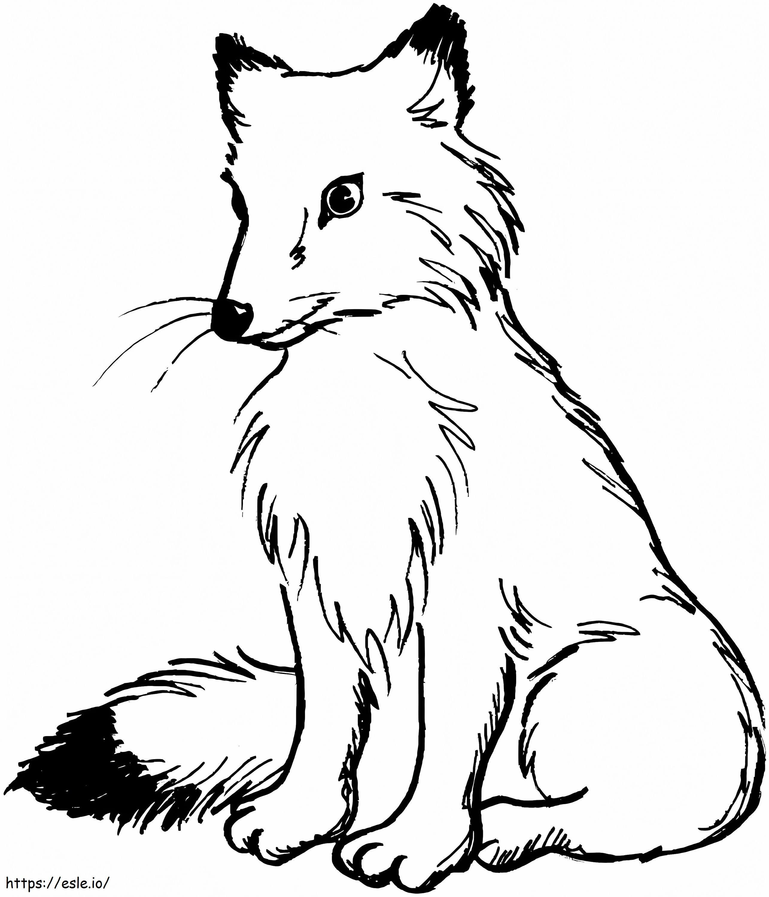A Wild Fox coloring page