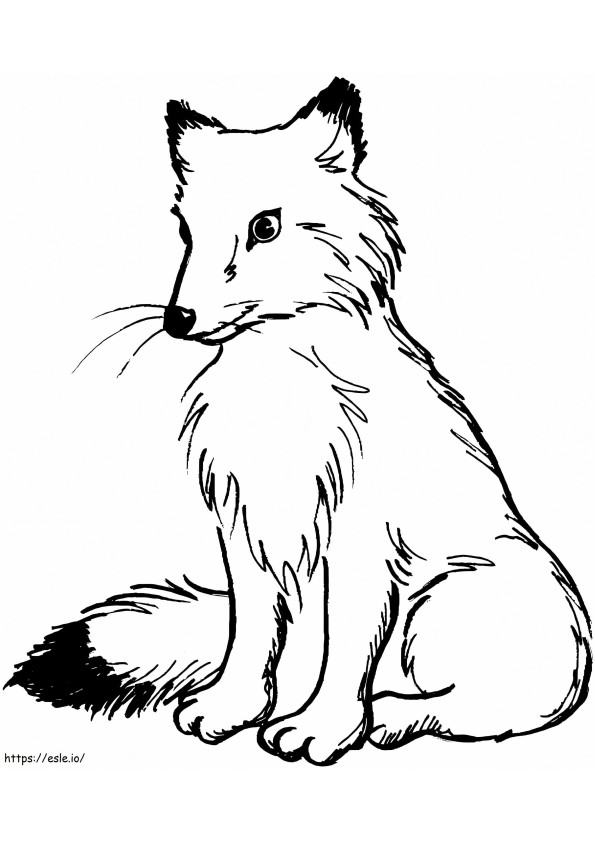 Coloriage Un renard sauvage à imprimer dessin