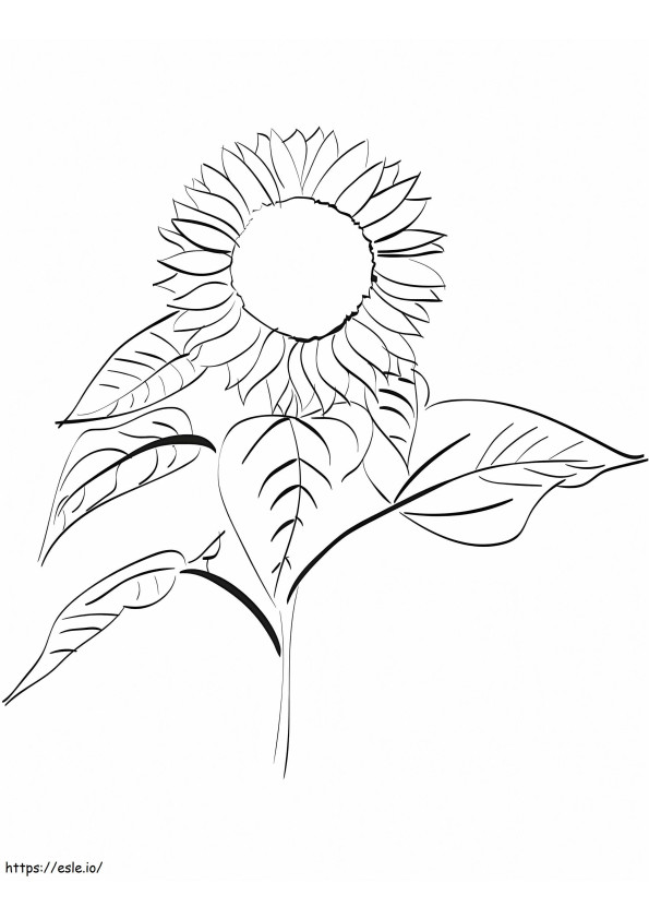 Floarea soarelui imprimabil de colorat