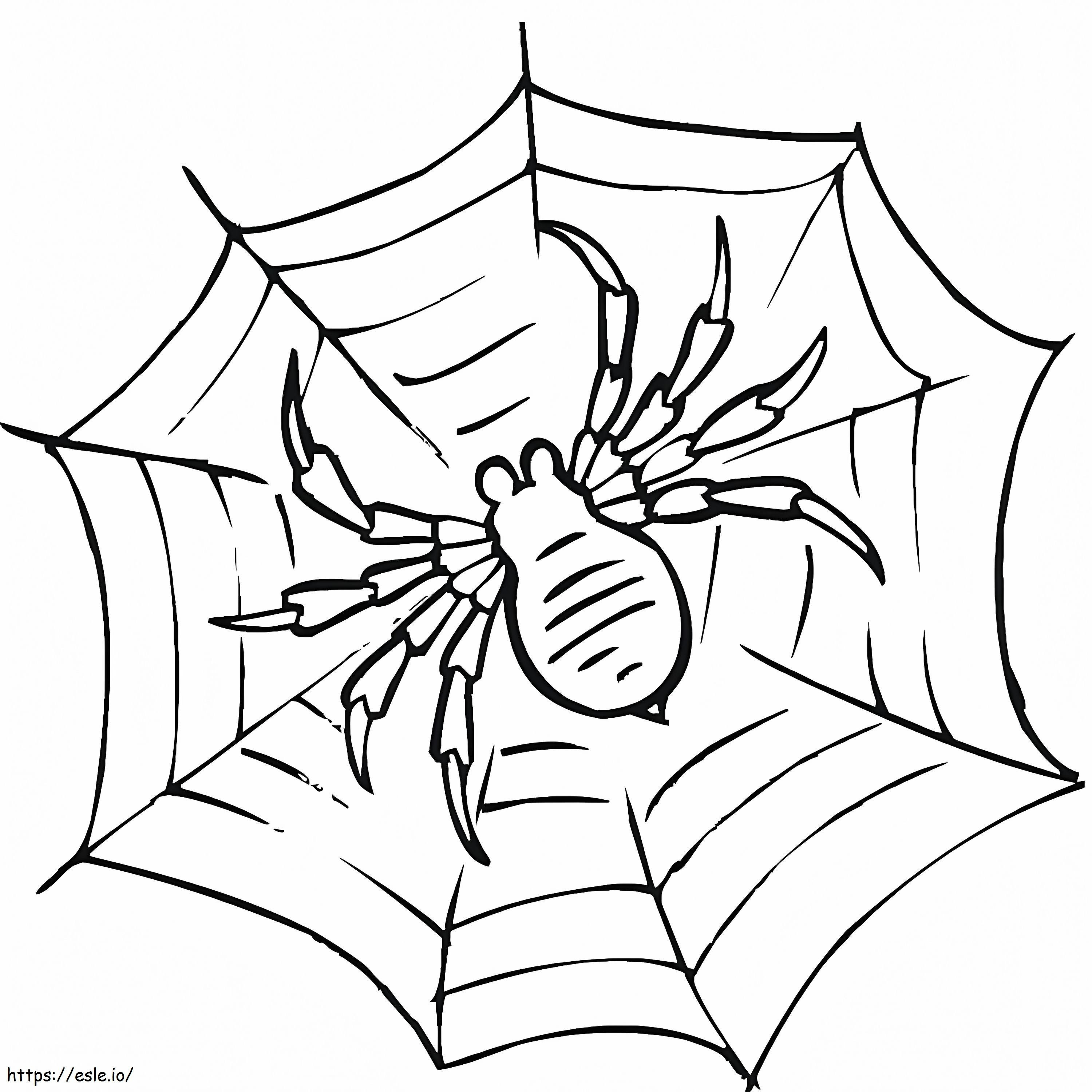 Aranha na teia de aranha para colorir