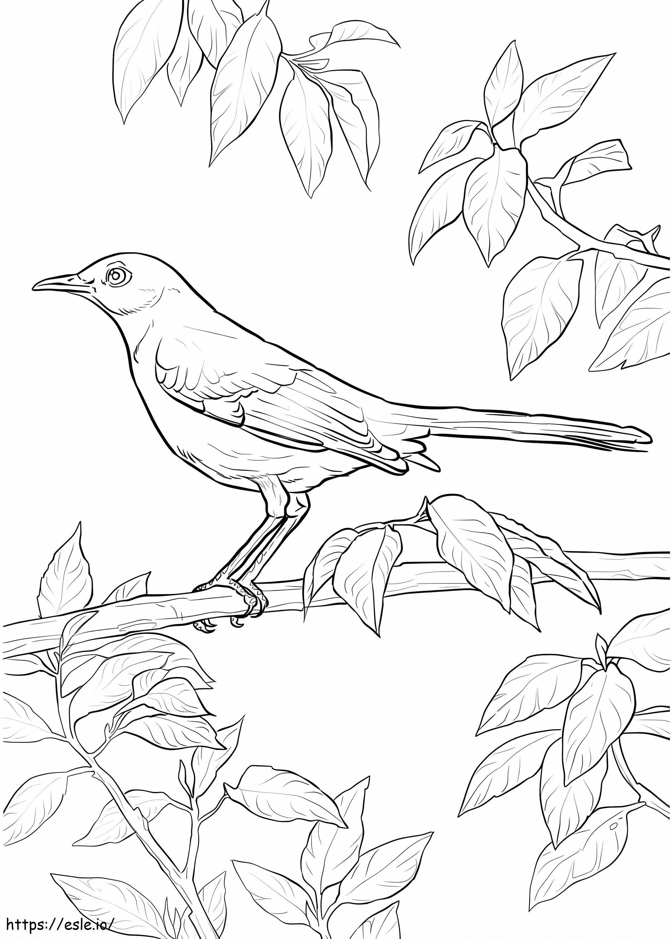 Nightingale on Branch kifestő