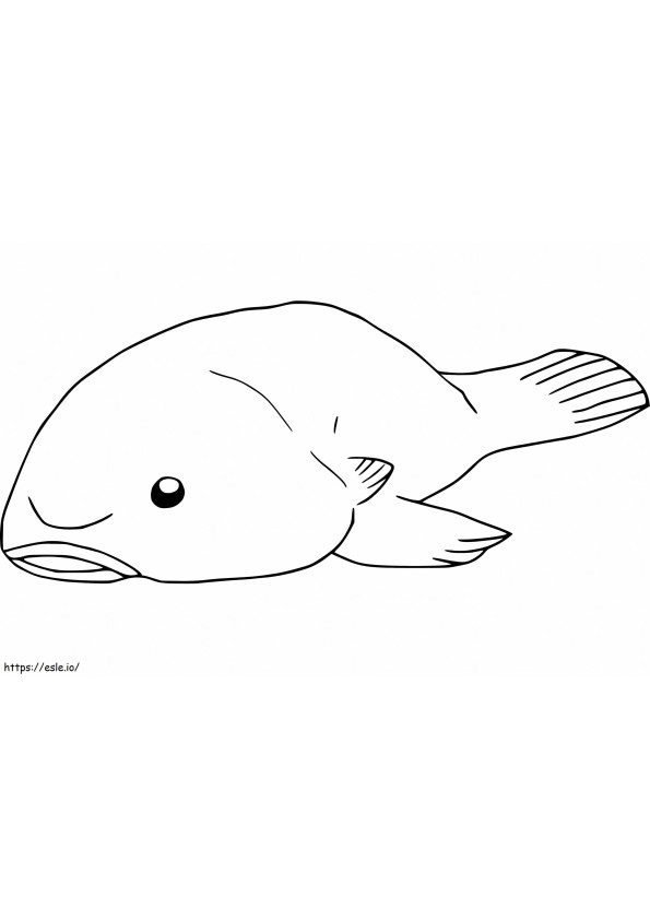 Blobfish lucu