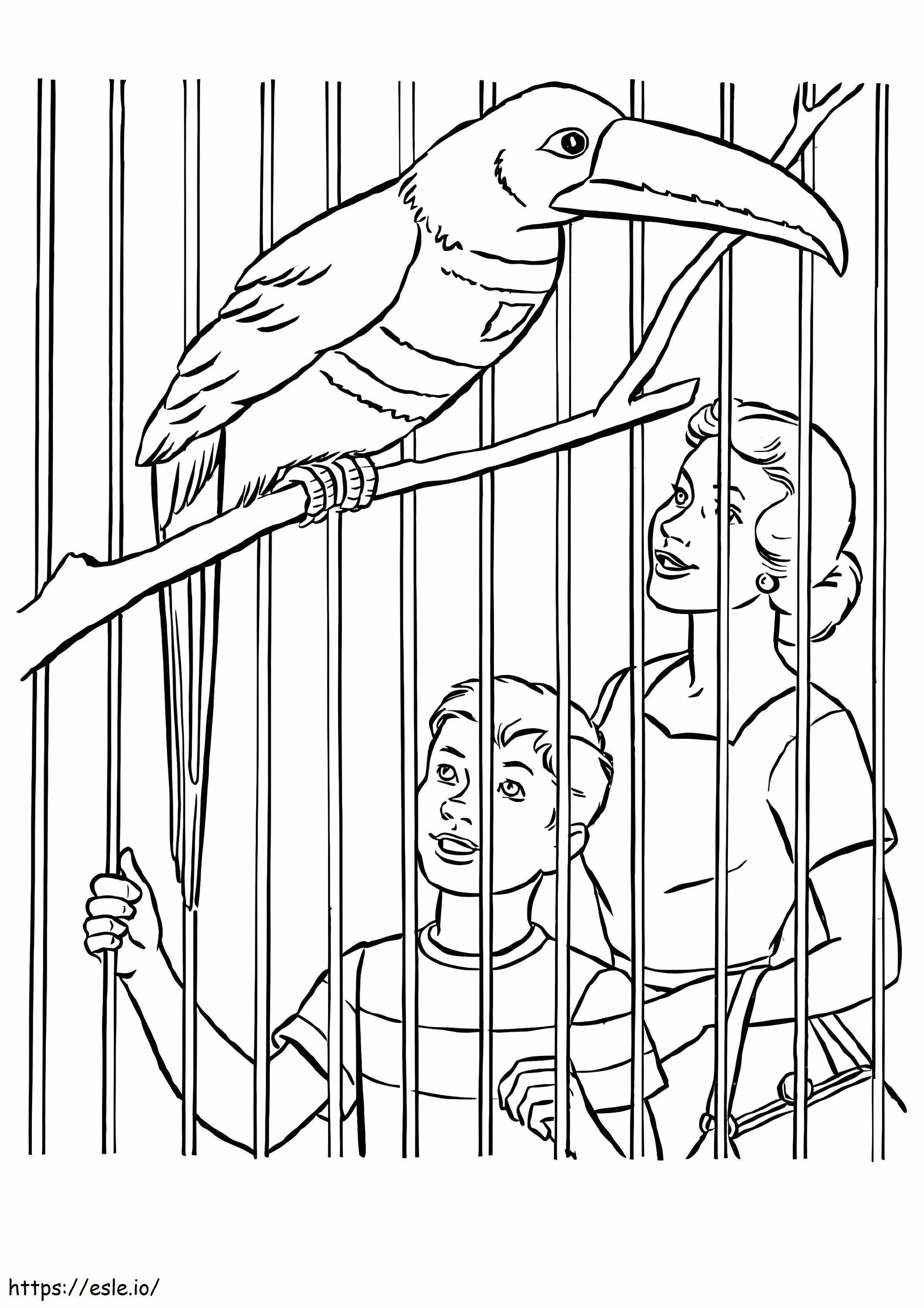 Toucan In A Zoo coloring page